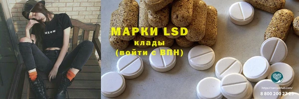 spice Богородск