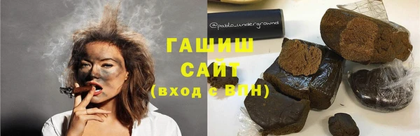 spice Богородск