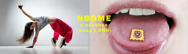 spice Богородск
