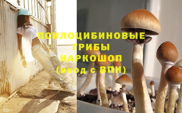 ешки Богородицк
