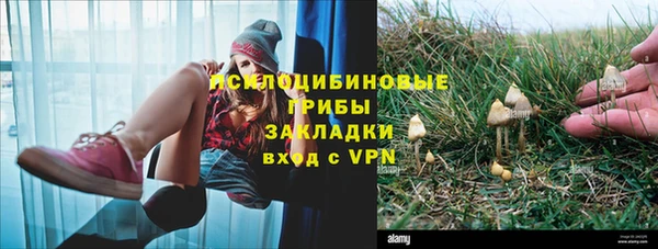 крисы Бронницы