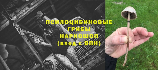 бутират Богданович